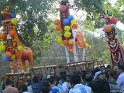 mangad-pooram-2013 (12)